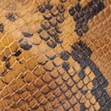 Wally Ankle Boot Snake | STAUD Value