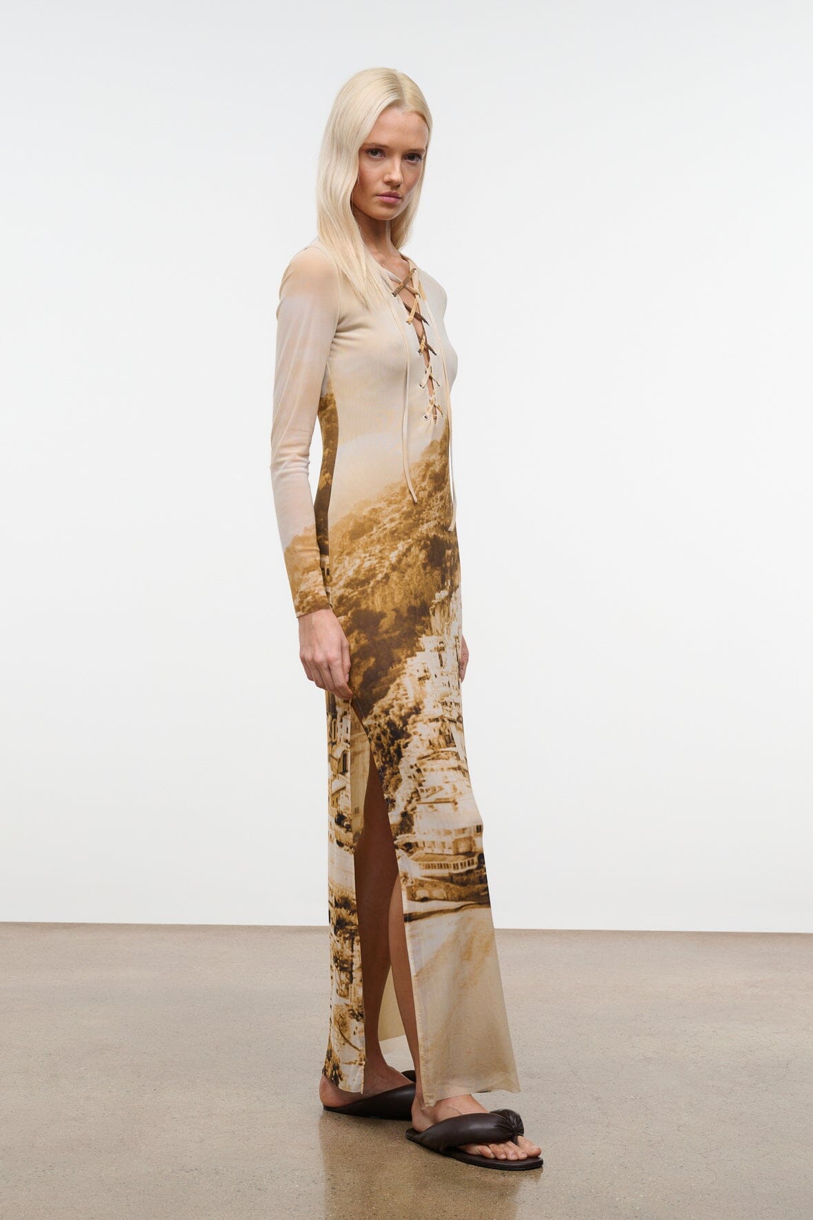 Reve Dress Cliffside | STAUD Signature