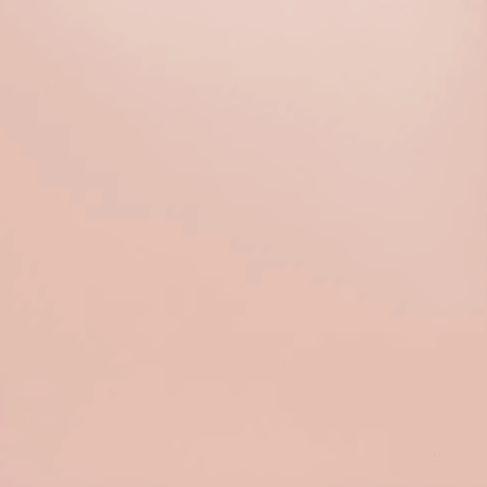 Shirley Leather Bag - Blush | STAUD New