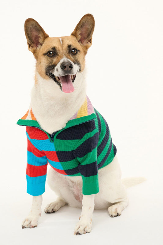 Pet Hampton Sweater - Cabana Stripe Multi | STAUD Discount
