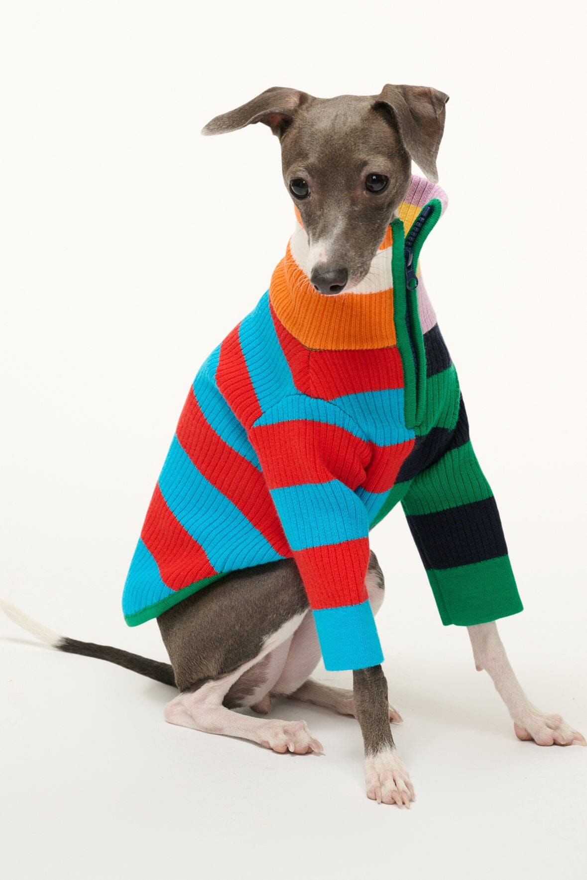 Pet Hampton Sweater - Cabana Stripe Multi | STAUD Discount