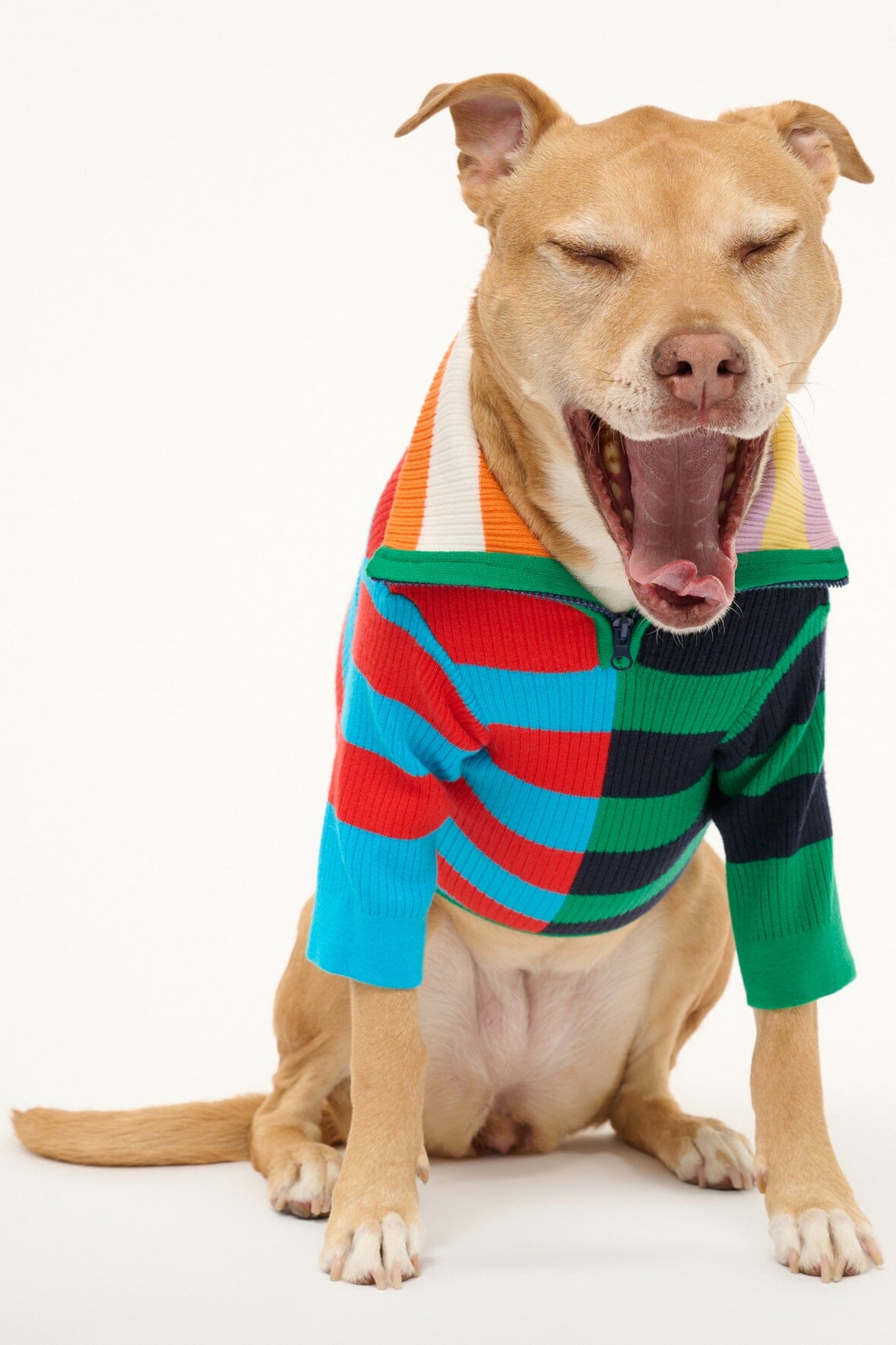 Pet Hampton Sweater - Cabana Stripe Multi | STAUD Discount
