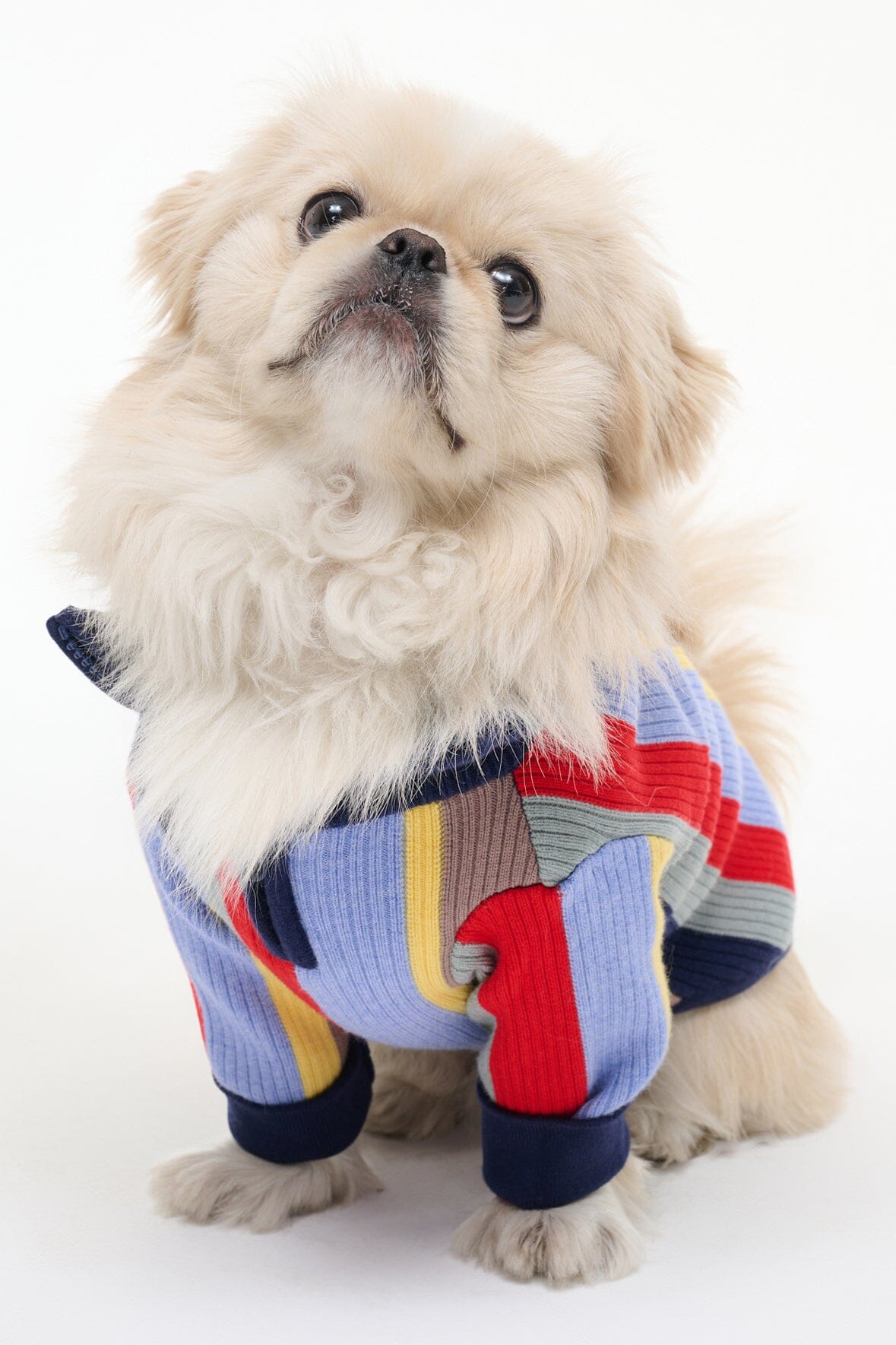 Pet Hampton Sweater Market Stripe | STAUD Hot Sale