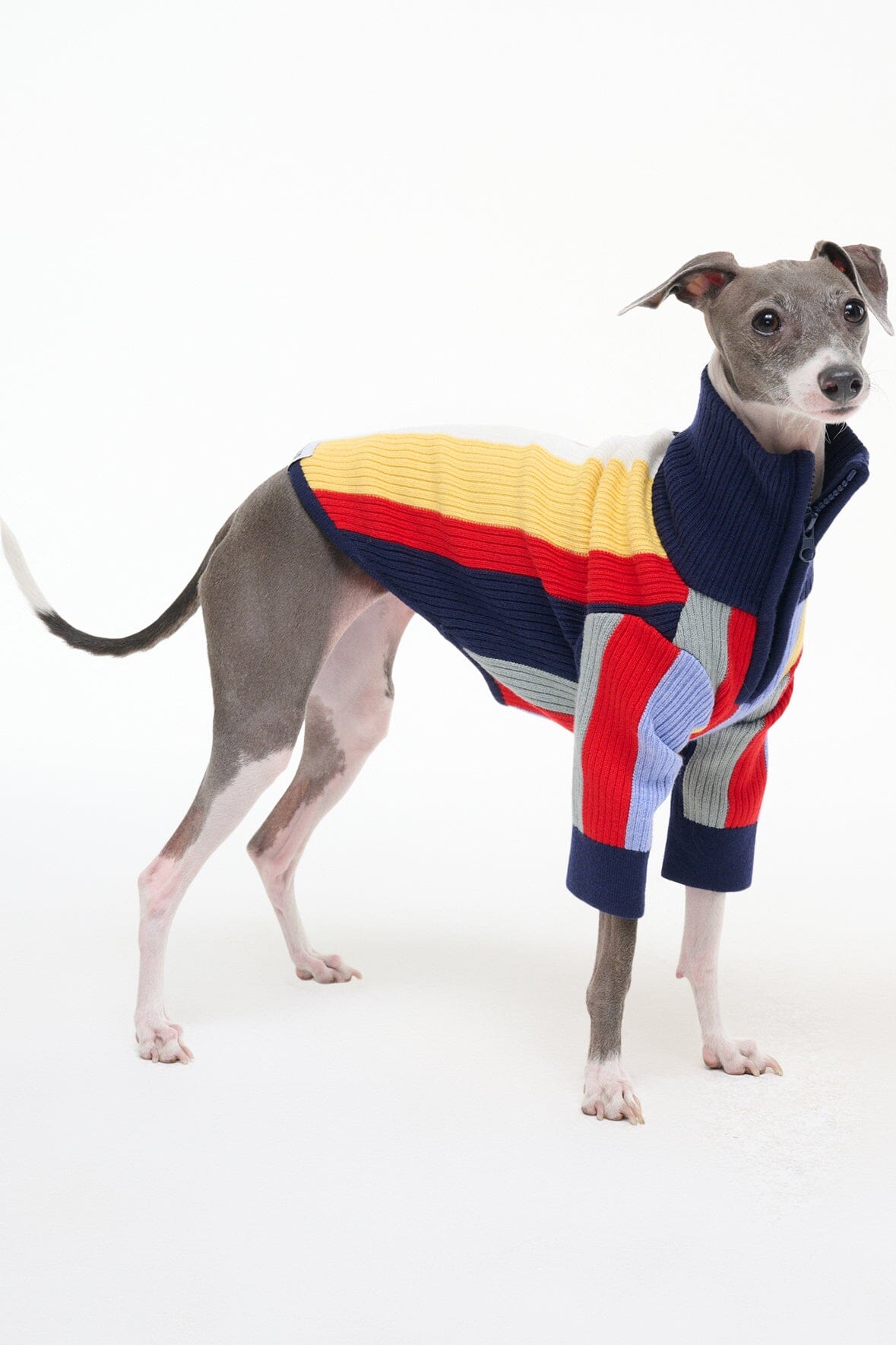 Pet Hampton Sweater Market Stripe | STAUD Hot Sale
