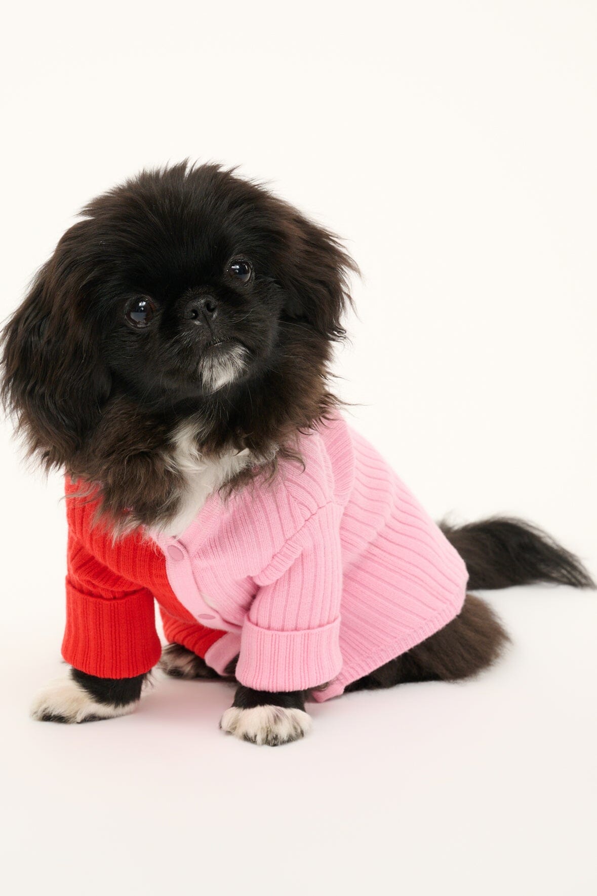 Pet Shoko Sweater - Poppy Rosebud | STAUD Customer Favorite