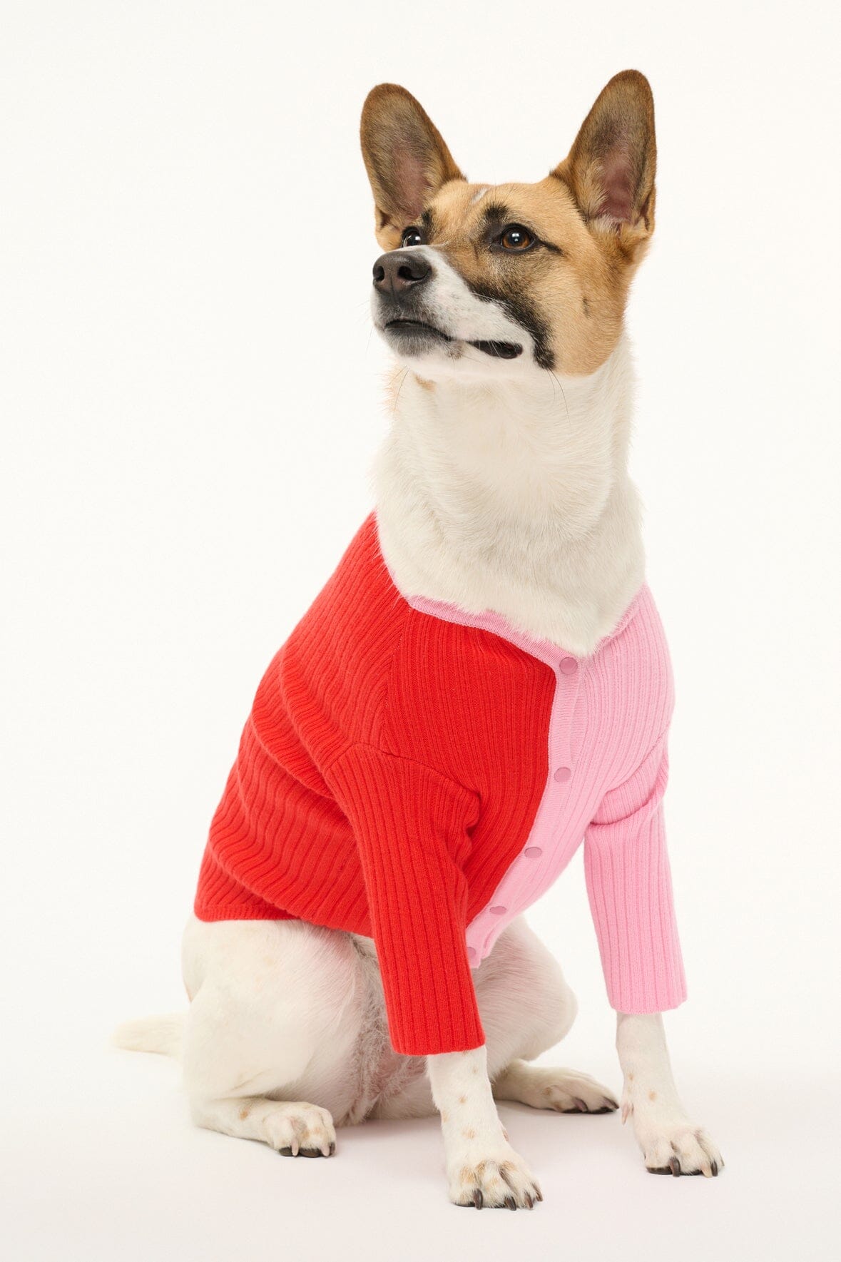 Pet Shoko Sweater - Poppy Rosebud | STAUD Customer Favorite