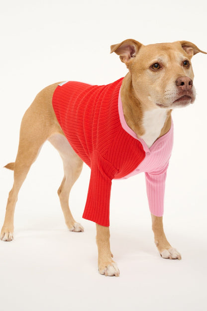 Pet Shoko Sweater - Poppy Rosebud | STAUD Customer Favorite