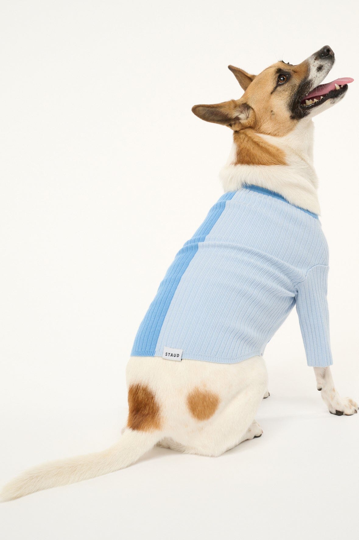 Pet Shoko Sweater - Periwinkle Multi | STAUD Exclusive
