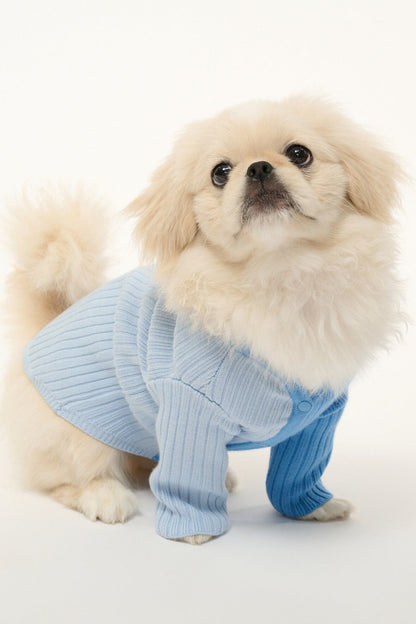 Pet Shoko Sweater - Periwinkle Multi | STAUD Exclusive