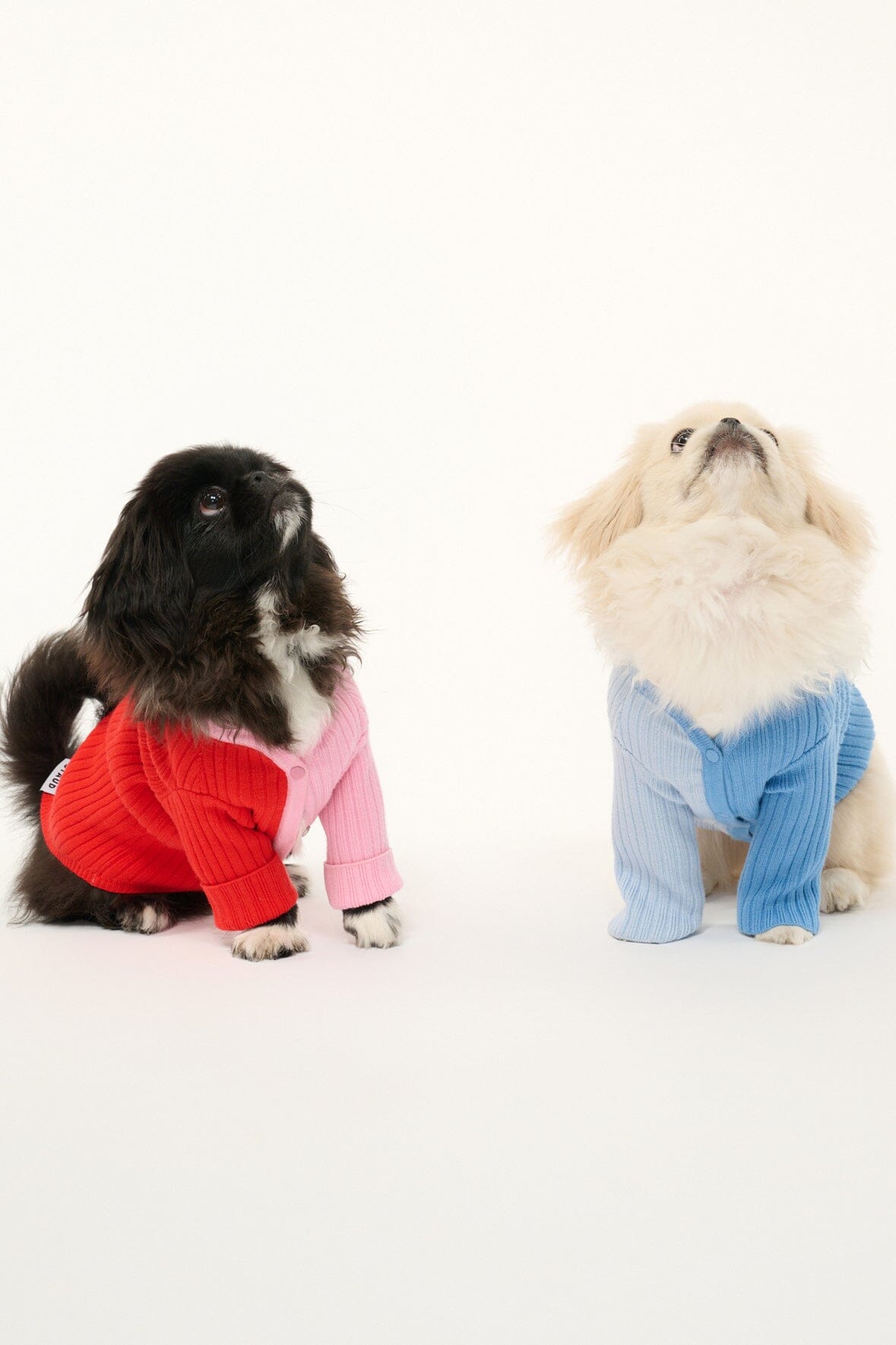 Pet Shoko Sweater - Periwinkle Multi | STAUD Exclusive