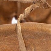 Organic Sculpture Ceramic Twine | STAUD Featured