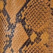 Western Wally Boot Snake | STAUD Classic