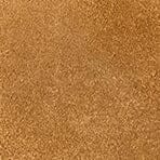 Alba Mary Jane Ballet Flat Tan | STAUD Classic